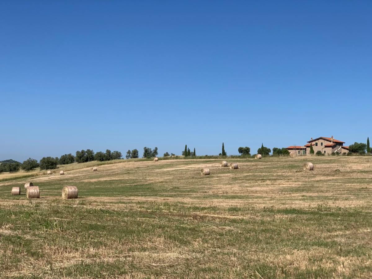 فيلا Il Poggio Di Musignano Musignano  المظهر الخارجي الصورة
